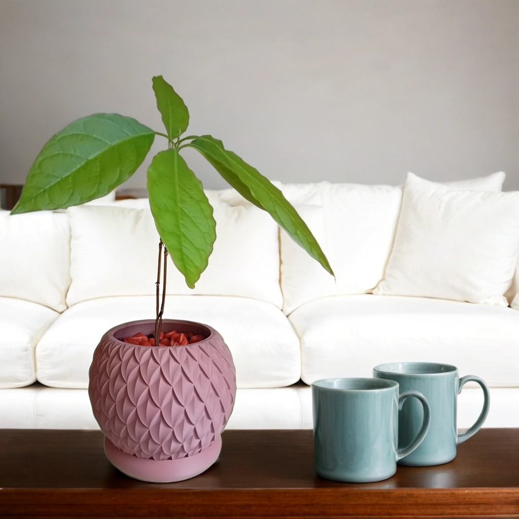 Pot terracotta